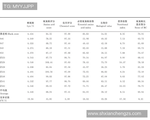 精英赛中IG战队技术表现分析与点评探讨